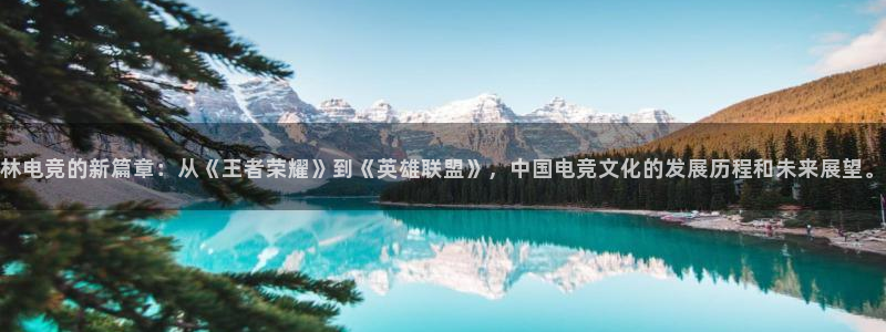 一竞技app下载：林电竞的新篇章：从《王者荣耀》到《英雄联盟》，中国电竞文化的发展历程和未来展望。