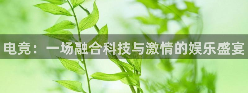 一竞技官网：电竞：一场融合科技与激情的娱乐盛宴
