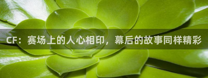 一竞技：CF：赛场上的人心相印，幕后的故事同样精彩