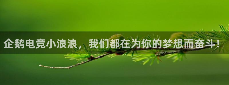 一竞技官网：企鹅电竞小浪浪，我们都在为你的梦想而奋斗！