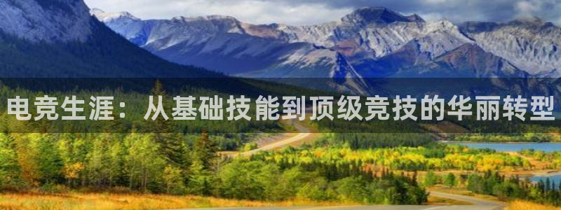 一竞技app：电竞生涯：从基础技能到顶级竞技的华丽转型