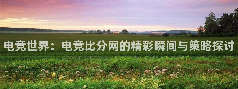 一竞技平台：电竞世界：电竞比分网的精彩瞬间与策略探讨