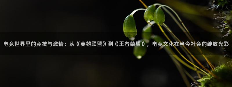 一竞技app下载：电竞世界里的竞技与激情：从《英雄联盟》到《王者荣耀》，电竞文化在当今社会的绽放光彩
