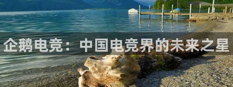 一竞技app下载安装：企鹅电竞：中国电竞界的未来之星