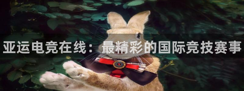 一竞技平台：亚运电竞在线：最精彩的国际竞技赛事