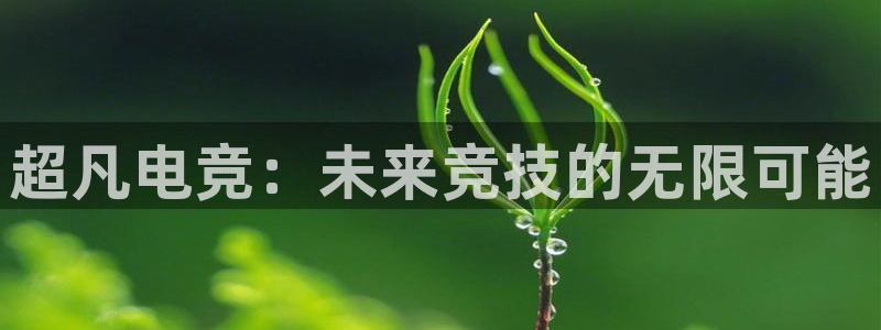 一竞技：超凡电竞：未来竞技的无限可能