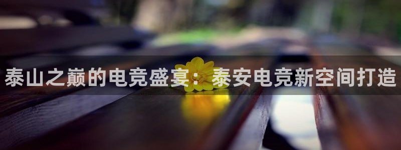 一竞技官网：泰山之巅的电竞盛宴：泰安电竞新空间打造