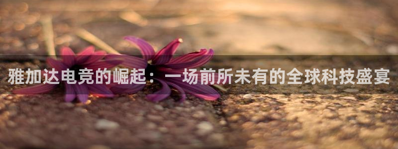 一竞技网址：雅加达电竞的崛起：一场前所未有的全球科技盛宴