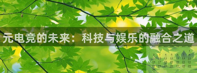 一竞技平台：元电竞的未来：科技与娱乐的融合之道