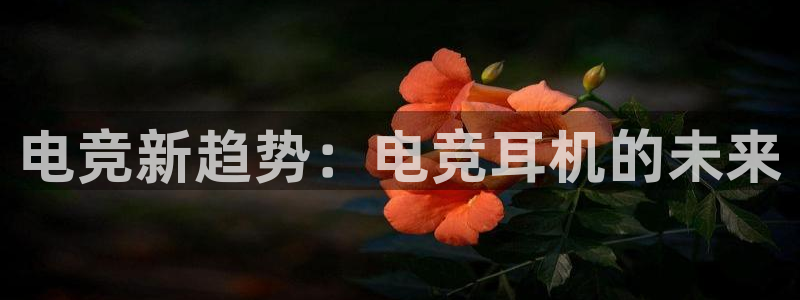 一竞技：电竞新趋势：电竞耳机的未来
