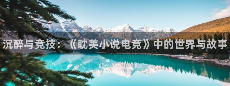 一竞技app下载：沉醉与竞技：《耽美小说电竞》中的世界与故事