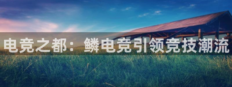 一竞技官网地址：电竞之都：鳞电竞引领竞技潮流