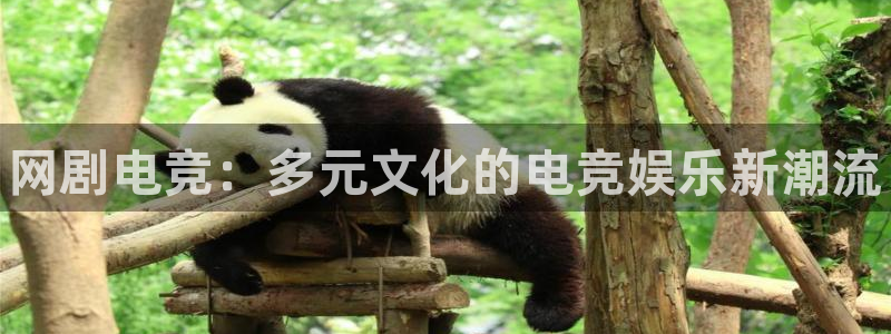 一竞技官网地址：网剧电竞：多元文化的电竞娱乐新潮流