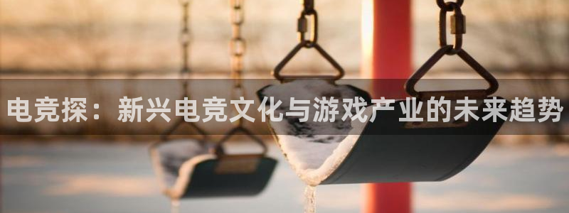 一竞技网址：电竞探：新兴电竞文化与游戏产业的未来趋势