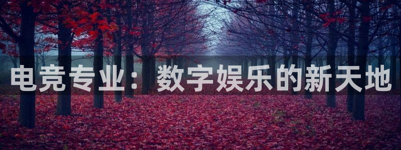 一竞技平台：电竞专业：数字娱乐的新天地