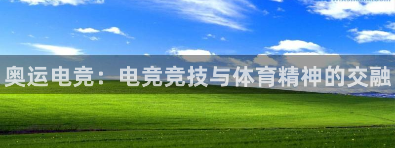 一竞技：奥运电竞：电竞竞技与体育精神的交融