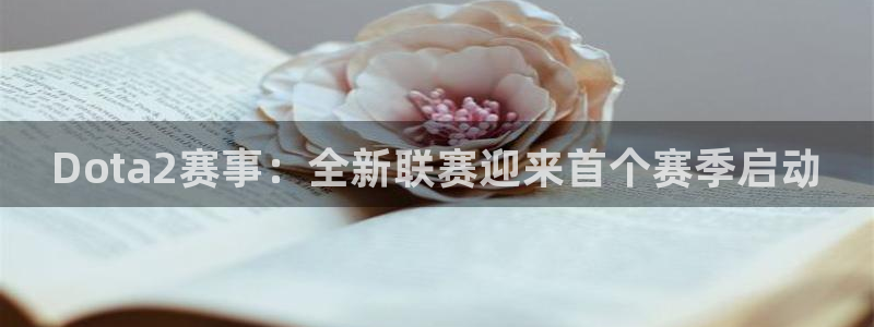 一竞技官网下载：Dota2赛事：全新联赛迎来首个赛季启动