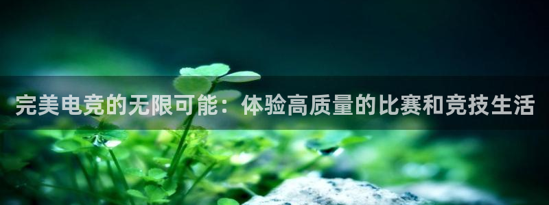 一竞技网址：完美电竞的无限可能：体验高质量的比赛和竞技生活
