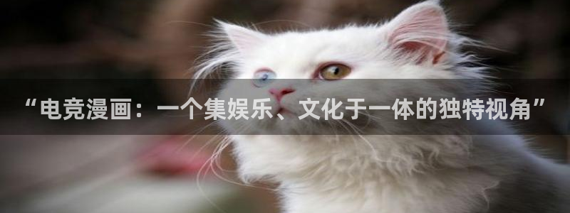 一竞技网址：“电竞漫画：一个集娱乐、文化于一体的独特视角”