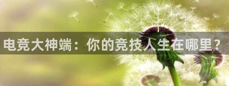 一竞技官网地址：电竞大神端：你的竞技人生在哪里？