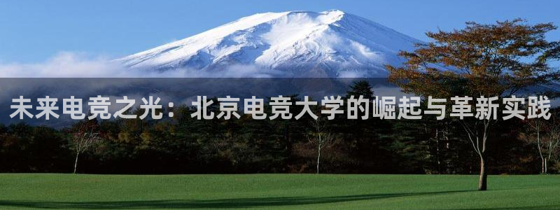 一竞技官网：未来电竞之光：北京电竞大学的崛起与革新实践