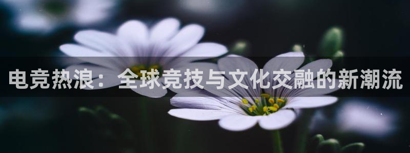 一竞技官网地址：电竞热浪：全球竞技与文化交融的新潮流