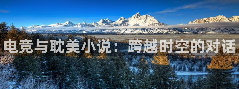一竞技平台：电竞与耽美小说：跨越时空的对话