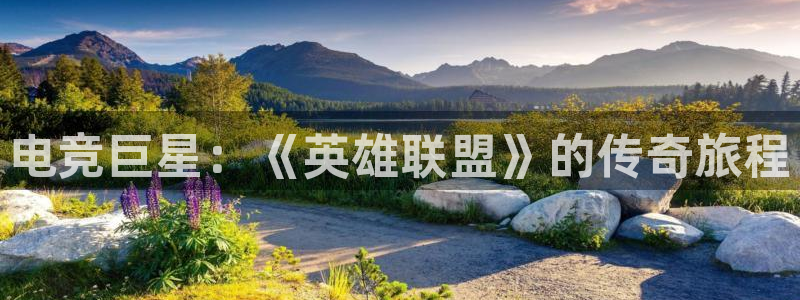 一竞技：电竞巨星：《英雄联盟》的传奇旅程