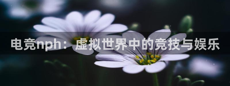 一竞技网址：电竞nph：虚拟世界中的竞技与娱乐
