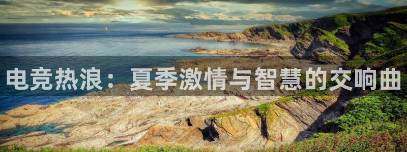 一竞技网址：电竞热浪：夏季激情与智慧的交响曲