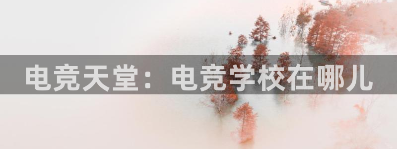 一竞技官网地址：电竞天堂：电竞学校在哪儿