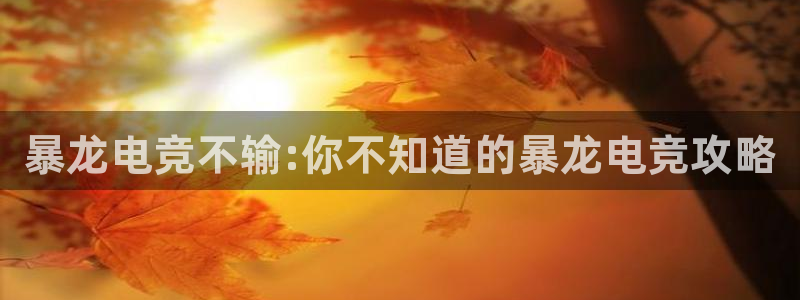 一竞技app下载：暴龙电竞不输:你不知道的暴龙电竞攻略