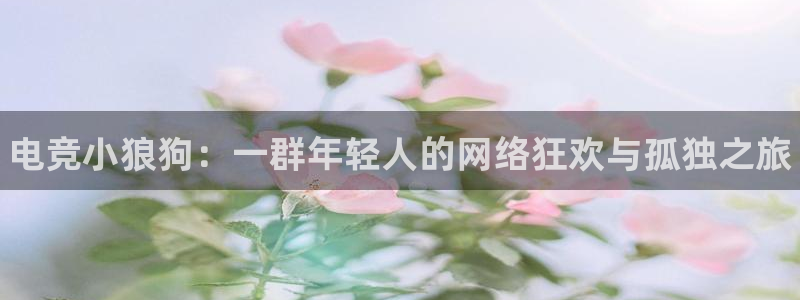 一竞技网址：电竞小狼狗：一群年轻人的网络狂欢与孤独之旅