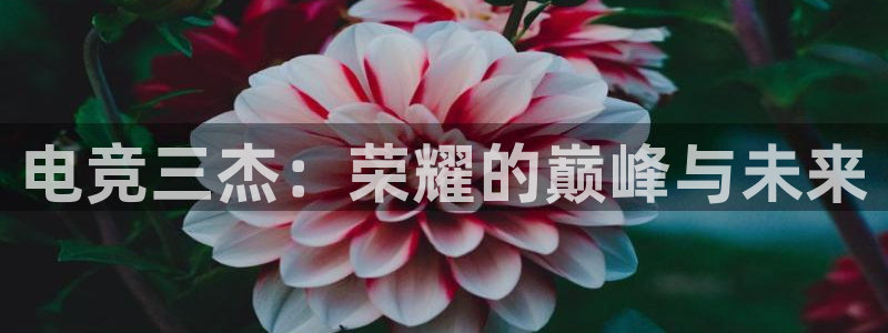 一竞技官网：电竞三杰：荣耀的巅峰与未来