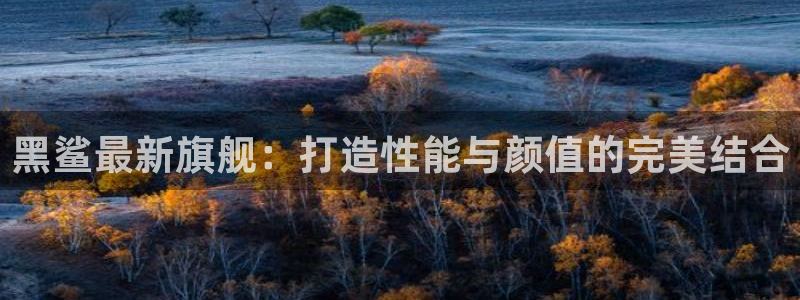 一竞技app：黑鲨最新旗舰：打造性能与颜值的完美结合