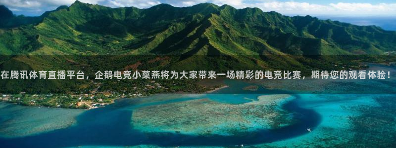 一竞技app：在腾讯体育直播平台，企鹅电竞小菜燕将为大家带来一场精彩的电竞比赛，期待您的观看体验！